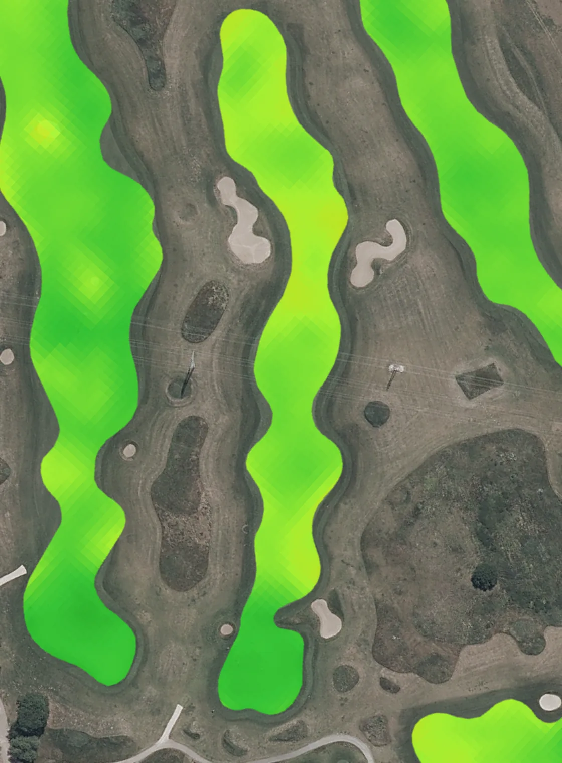 The same fairway this year, paler